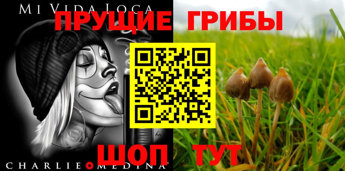 Псилоцибиновые грибы мицелий  Вход с VPN  Галлюциногенные грибы мицелий  Ликино-Дулёво 